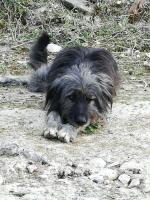 BUBBA