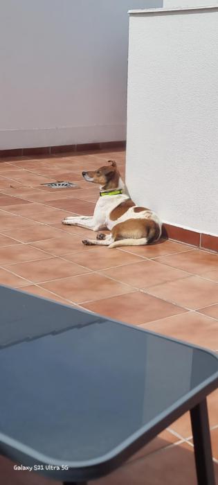 MIGO