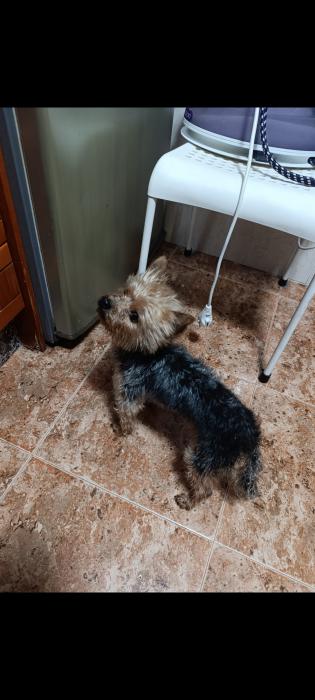 NANO