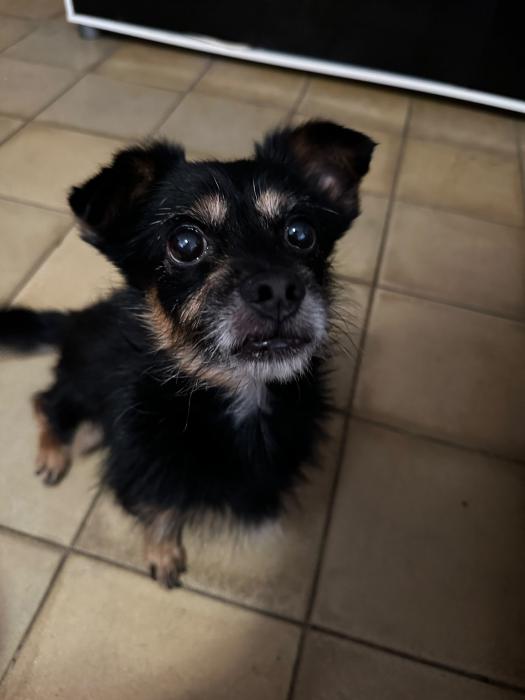 BALU