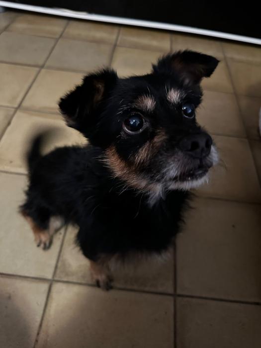 BALU
