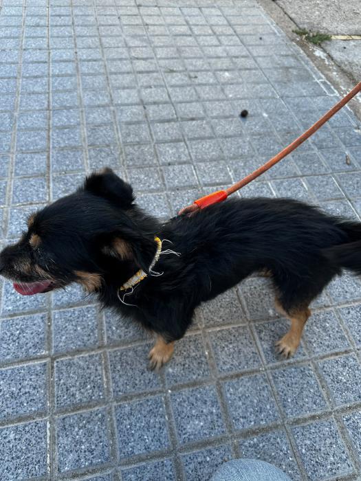 BALU