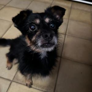 BALU