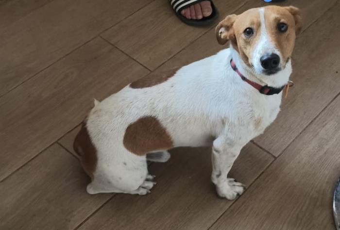 OBI