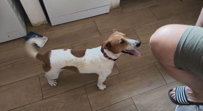 OBI