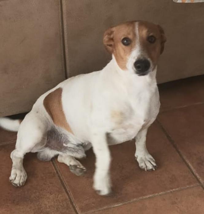 OBI