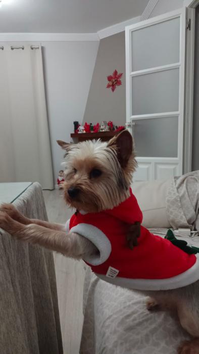 NIKO
