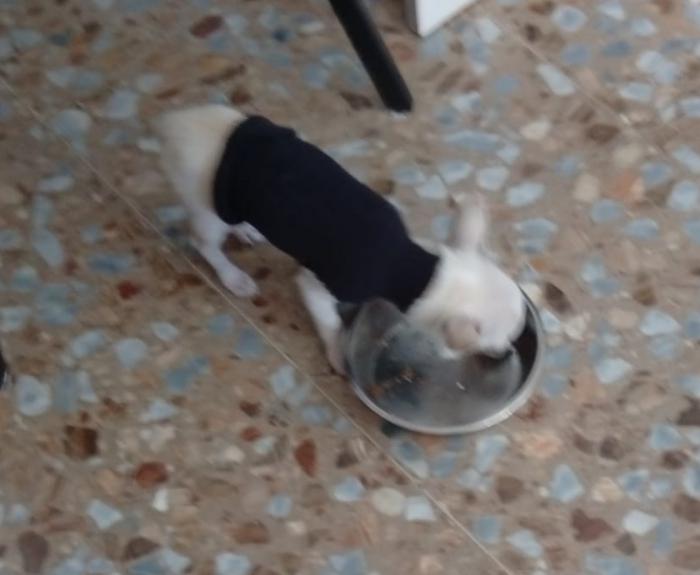 CHURRO