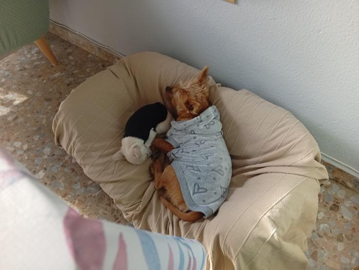 CHURRO